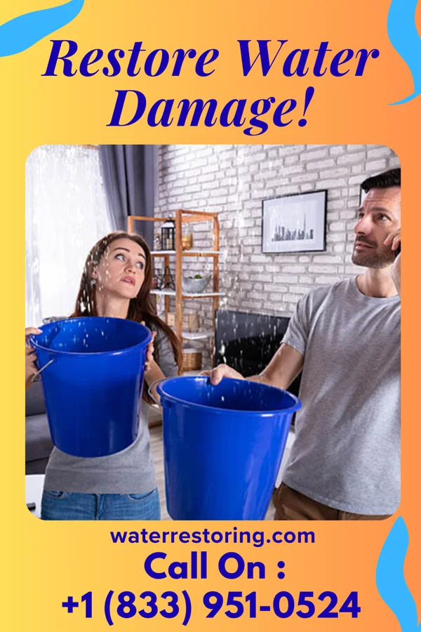 water restoration Shield Damage Recovery Brothers Wachapreague