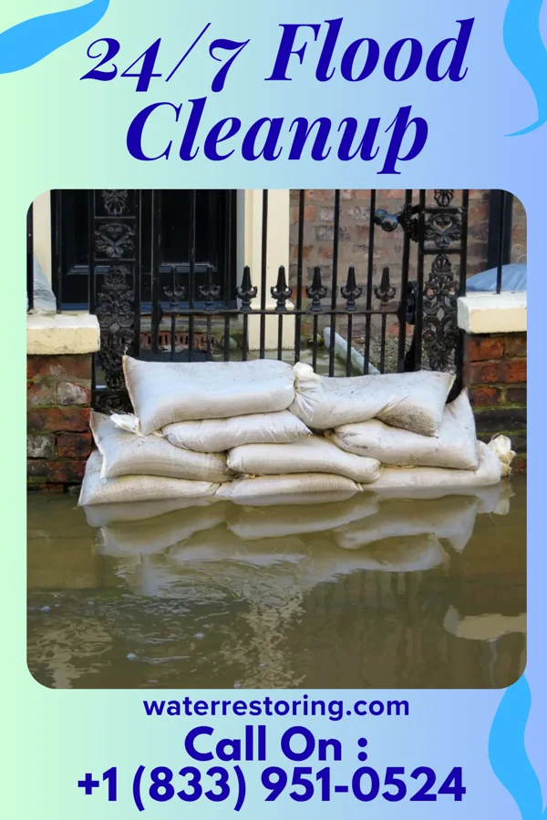 24/7 Flood Cleanup in Wachapreague, VA