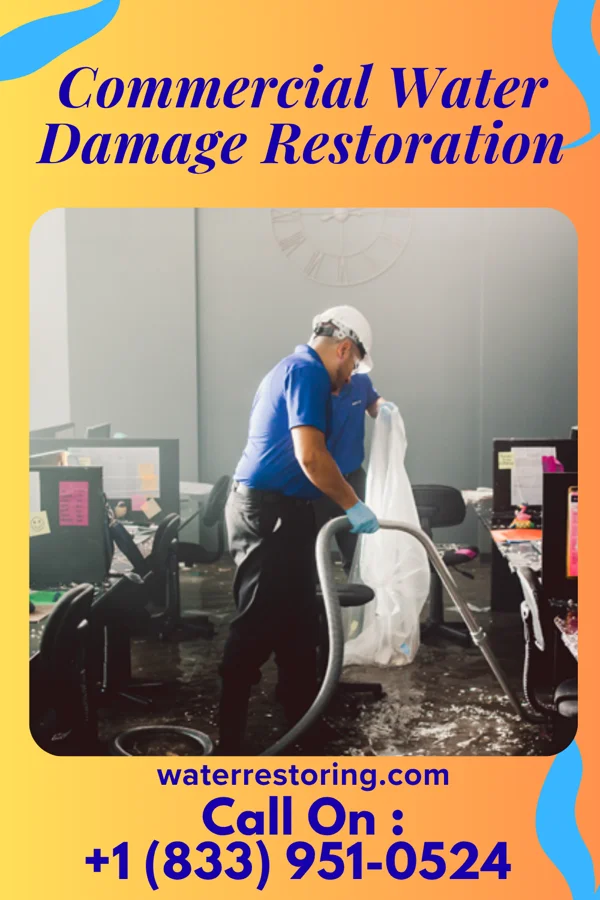 Commercial Water Damage Restoration in Wachapreague, VA