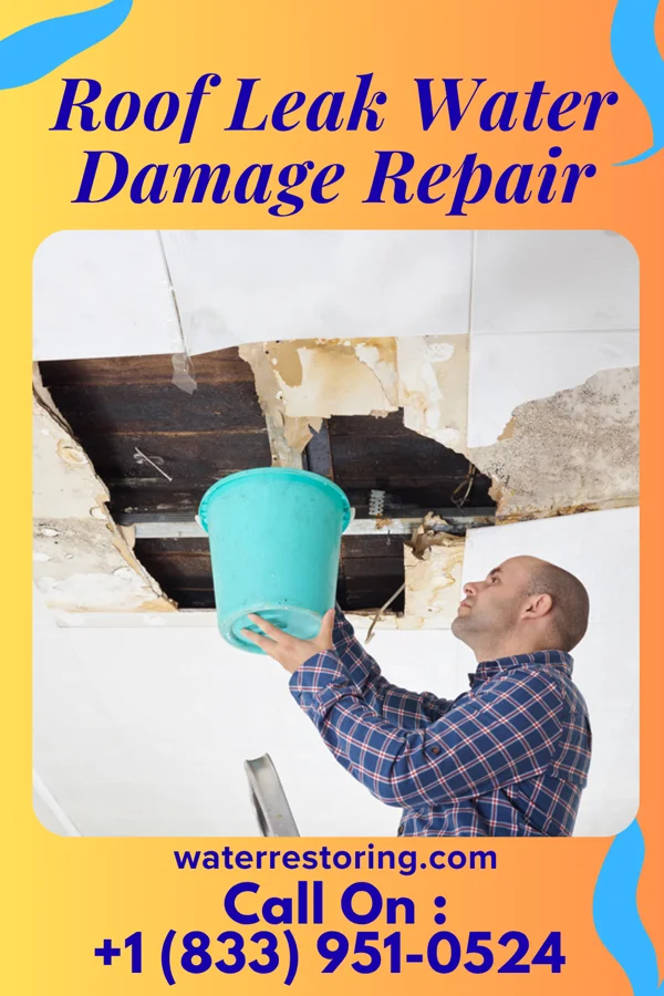 Roof Leak Water Damage Repair in Wachapreague, VA