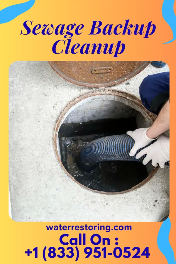 Sewage Backup Cleanup in Wachapreague, VA